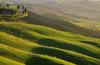 Agriturismo Campagna Toscana